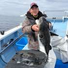 ３月１８日（水）トラフグ