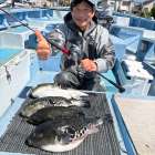 ４月１１日（土）トラフグ