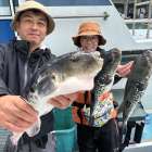 ４月２６日（日）トラフグ