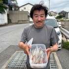 ６月３０日（火）スルメイカ/マルイカ