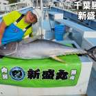 キハダマグロ船