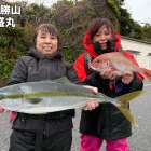 １０月２６日（月）ワラサ